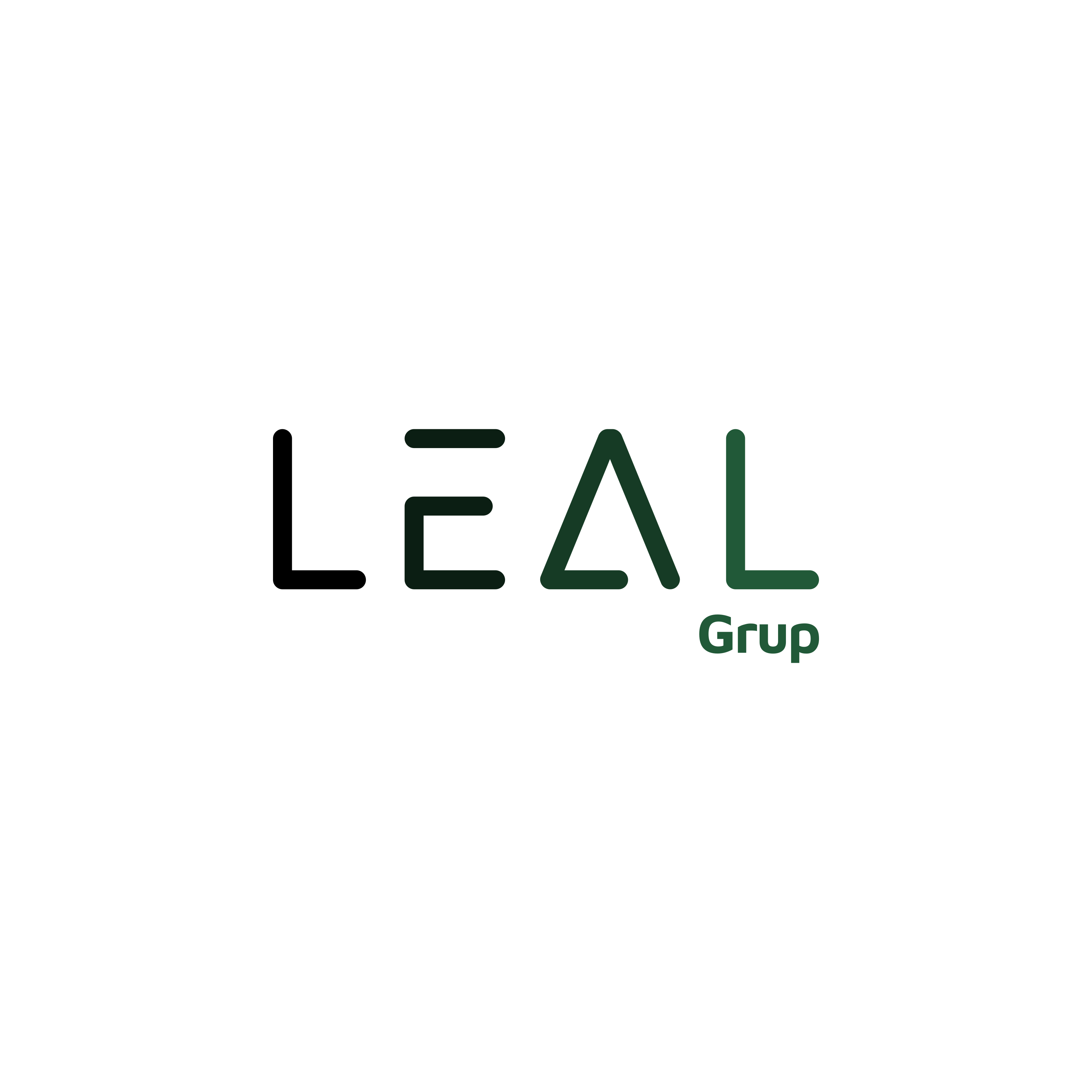 Leal Grup